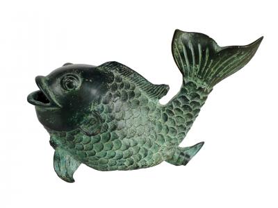 Chinese Fish