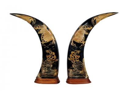 Chinese Horns